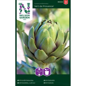 Artiskokk, 'Vert de Provence'