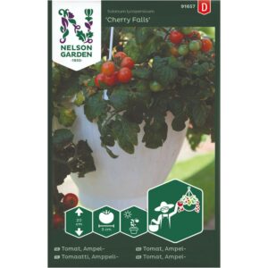 Tomat, Ampel-, 'Cherry Falls'