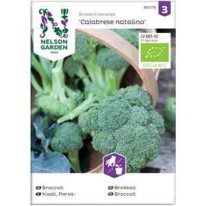 Brokkoli, 'Calabrese Natalino' - Økologisk
