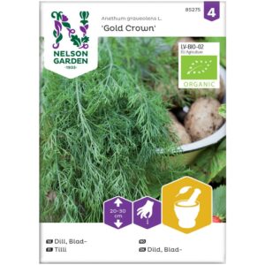 Dill, Blad-, 'Gold Crown' - Økologisk