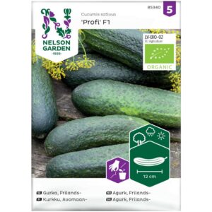 Agurk, Drue-, 'Profi' F1 - Økologisk