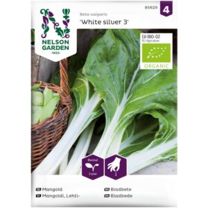 Bladbete 'White Silver 3' - Økologisk