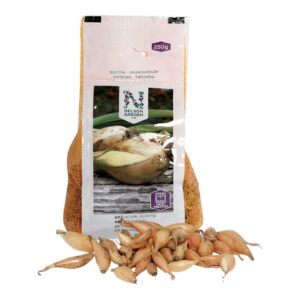 Setteløk Avlang Gul Varmebehandlet 250g