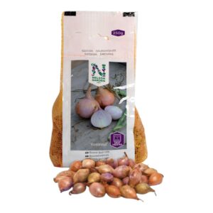Setteløk Rosa 'Rosanna' Varmebehandlet 250g