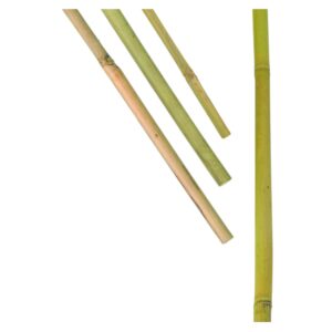 Bambusstav 100cm 10pk.