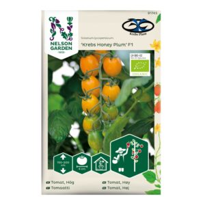 Tomat 'Krebs Honey Plum' F1