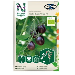 Tomat 'Krebs Black Vega' F1
