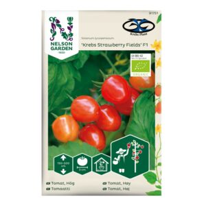 Tomat 'Krebs Strawberry Fields' F1