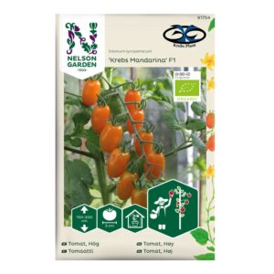 Tomat 'Krebs Mandarina' F1