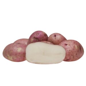 Settepotet 2.5 kg 'Beate'