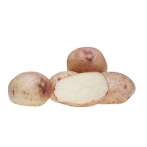 Settepotet 2.5 kg 'Kerrs Pink'