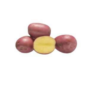 Settepotet 2.5 kg 'Nansen'