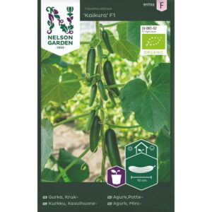 Agurk,Potte-, Veksthus, 'Kaikura' F1 - Økologisk