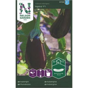 Aubergine, 'Agata' F1